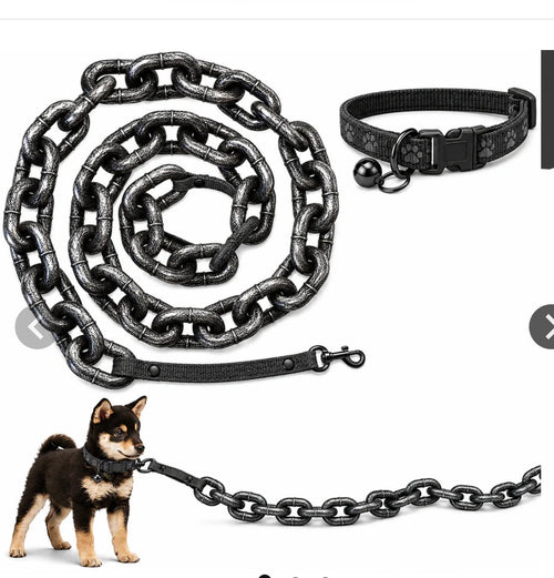 The Titan Link